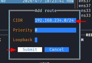 Formulario de criacao de rota com campo CIDR preenchido e checkbox de loopback