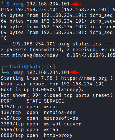 Terminal mostrando respostas do ping e varredura nmap contra 192.168.234.101