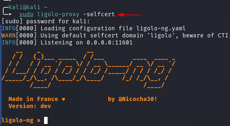 Evidencia tecnica: Iniciar Proxy Ligolo (-selfcert)