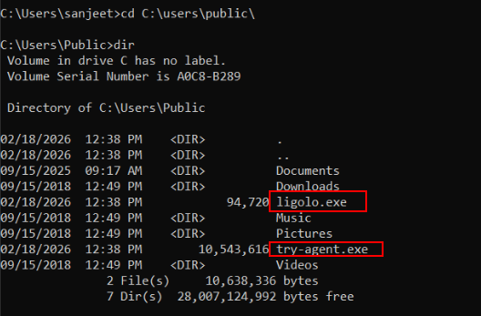 Evidencia tecnica: Verificar Payload