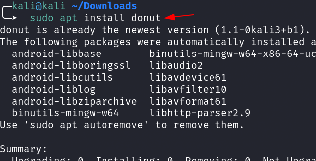 Evidencia tecnica: Instalar Donut