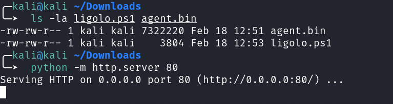 Evidencia tecnica: Hospedar agent.bin e ligolo.ps1 via Python HTTP Server
