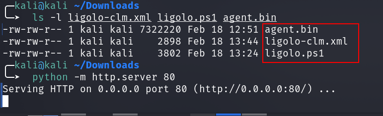 Evidencia tecnica: Staging XML, Shellcode e Carregador para Entrega