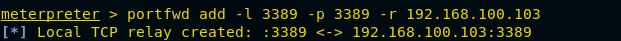 Meterpreter portfwd add configurando forward local 3389 para alvo 192.168.100.103:3389