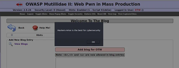 Alerta XSS persistente exibido ao acessar o blog após injeção