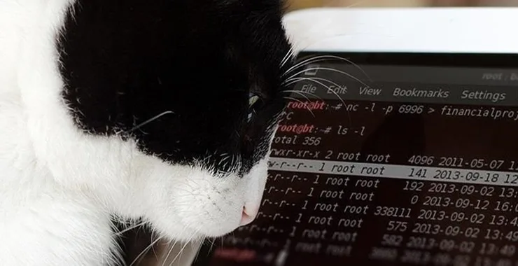 Banner do artigo Netcat: 'Hack Like a Pro - Use Netcat Swiss Army Knife Hacking Tools'