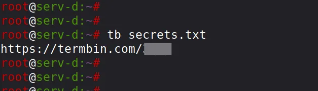 Upload de arquivo secrets.txt para termbin.com via comando tb