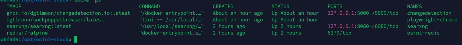 Infraestrutura Docker Compose do Changedetection com Caddy reverse proxy