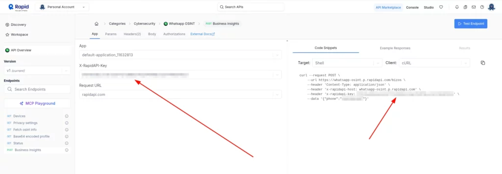 Painel RapidAPI mostrando a chave da API WhatsApp OSINT