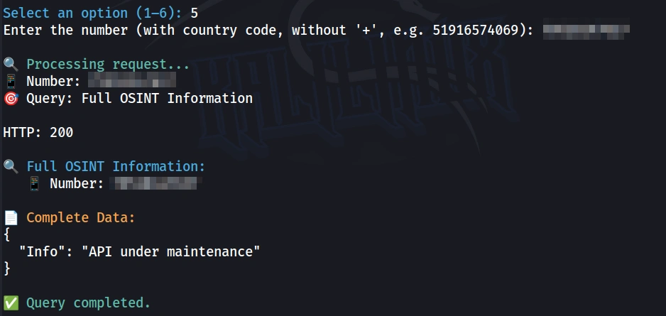 Relatório completo retornando aviso de manutenção da API